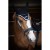 bonnet-point-sellier-flytcot1ton-noir-.jpg