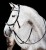 sbmxm0-k000-horseware-micklem-2-multibridle-black.jpg