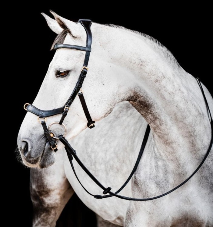 sbmxm0-k000-horseware-micklem-2-multibridle-black.jpg