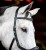 sbmxm0-k000_horseware-micklem-2-multibridle_3__4.jpg