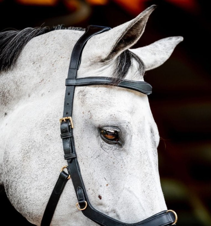 sbmxm0-k000_horseware-micklem-2-multibridle_3__4.jpg