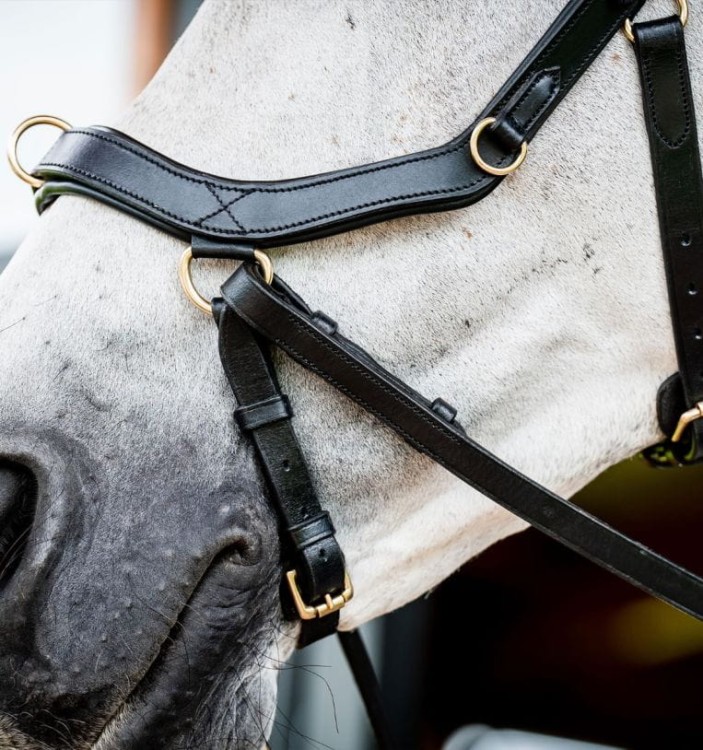 sbmxm0-k000_horseware-micklem-2-multibridle_4__4.jpg