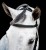 sbmxm0-k000_horseware-micklem-2-multibridle_2__4.jpg