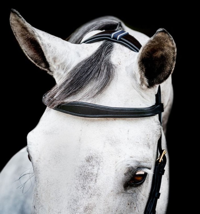 sbmxm0-k000_horseware-micklem-2-multibridle_2__4.jpg