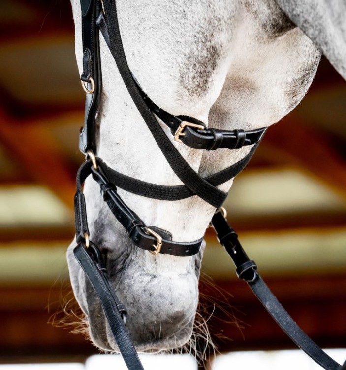 sbmxm0-k000_horseware-micklem-2-multibridle_6__4.jpg