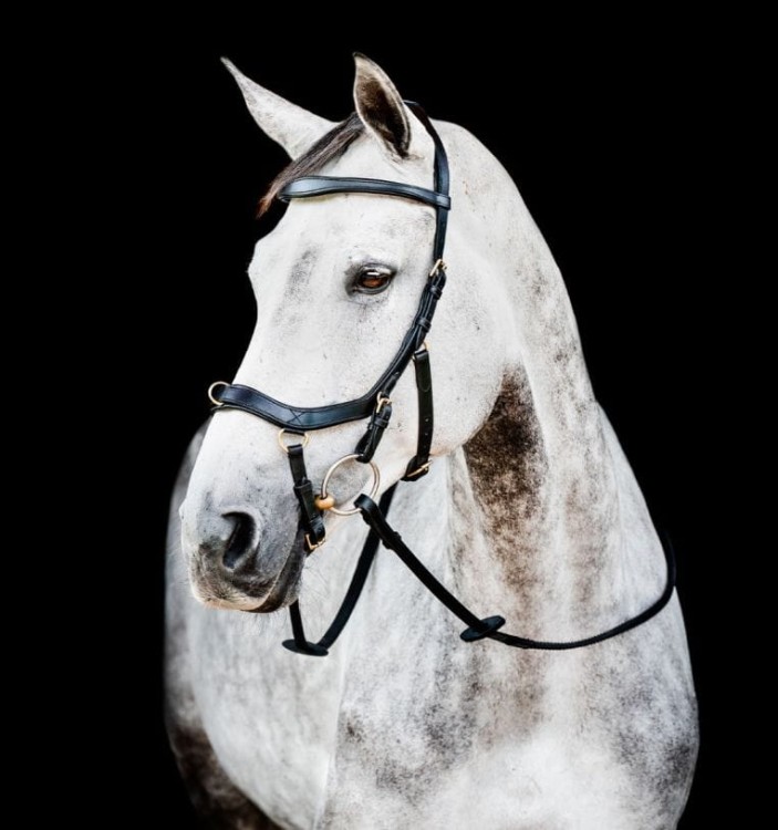 sbmxm0-k000_horseware-micklem-2-multibridle_5__4.jpg