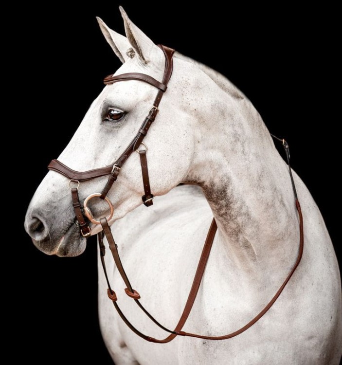 sbmom2-nab0-micklem-competition-bridle-with-rubber-reins-brown_f8d4f1ff8ywhmzif.jpg