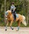 1117197-D_08_800x800.jpg