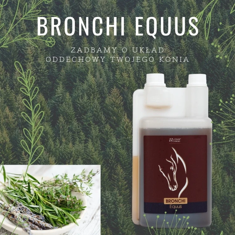 BRONCHI-Equus-1l.jpg