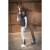 penelope-point-sellier-breeches (3).jpg