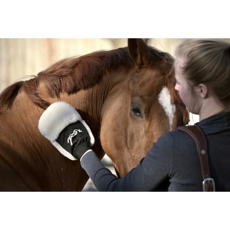 penelope-grooming-glove (3).jpg