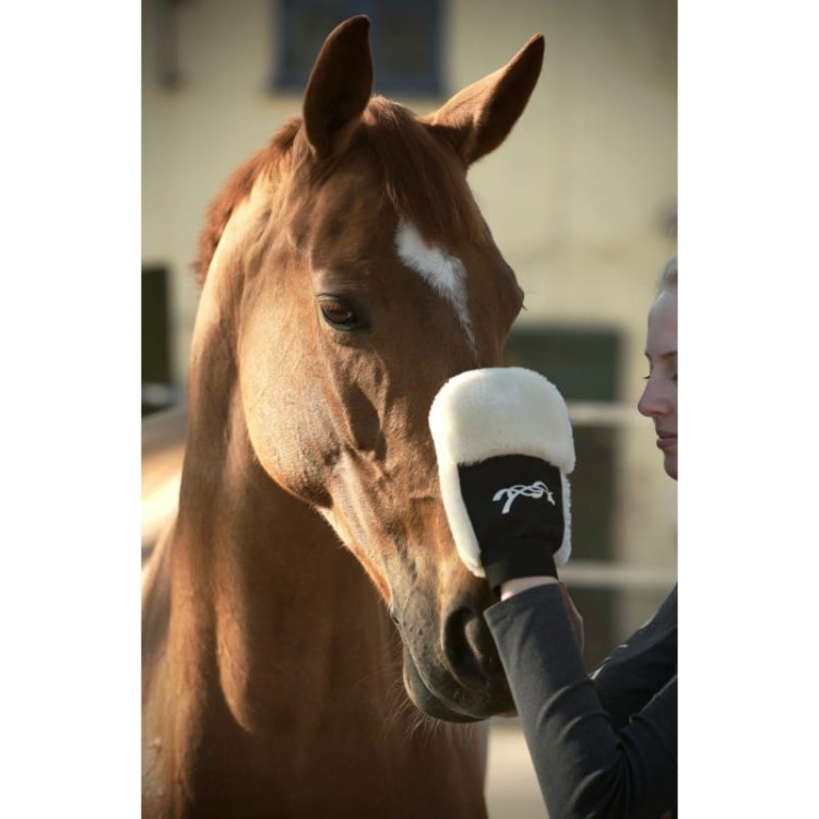 penelope-grooming-glove (2).jpg