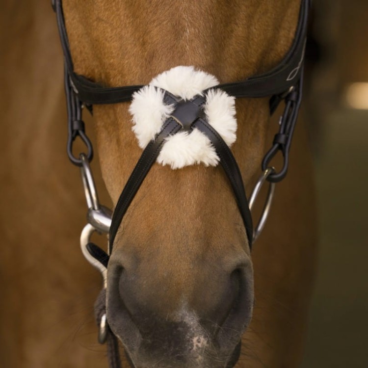 norton-pro-crossed-noseband-bridle (3).jpg