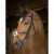 norton-pro-crossed-noseband-bridle (2).jpg