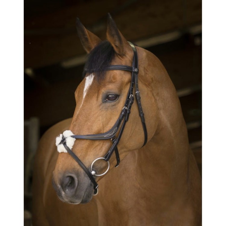 norton-pro-crossed-noseband-bridle (2).jpg