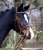 9577430-VB_03_1920x1920.jpg
