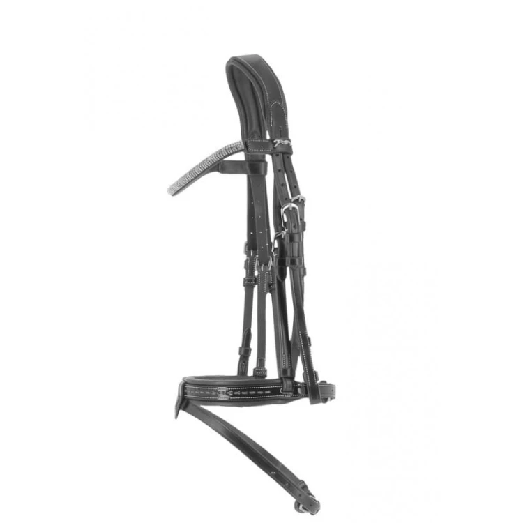 penelope-harmonie-bridle (3).jpg