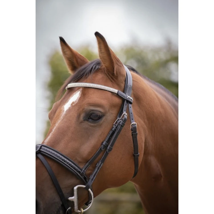 penelope-harmonie-bridle (1).jpg