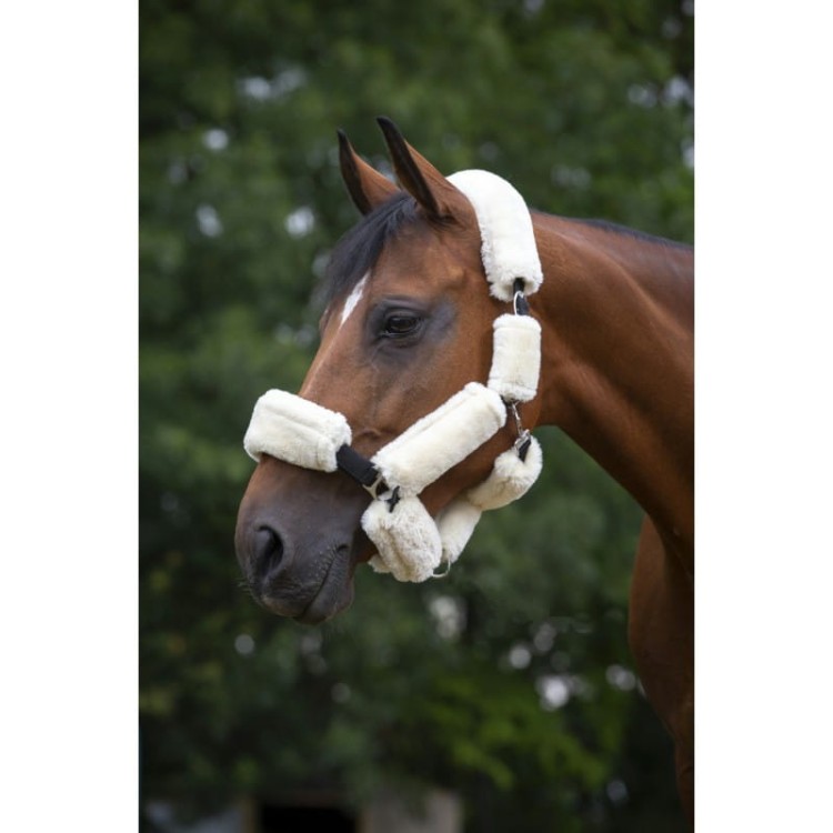 equitheme-teddy-set-for-headcollar (1).jpg