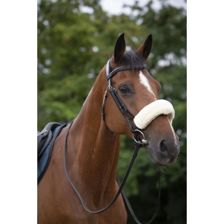 equitheme-teddy-noseband-sleeve.jpg