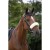 equitheme-teddy-noseband-sleeve.jpg