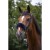 equitheme-teddy-noseband-sleeve (1).jpg