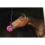 bizzy-horse-bizzy-ball (1).jpg