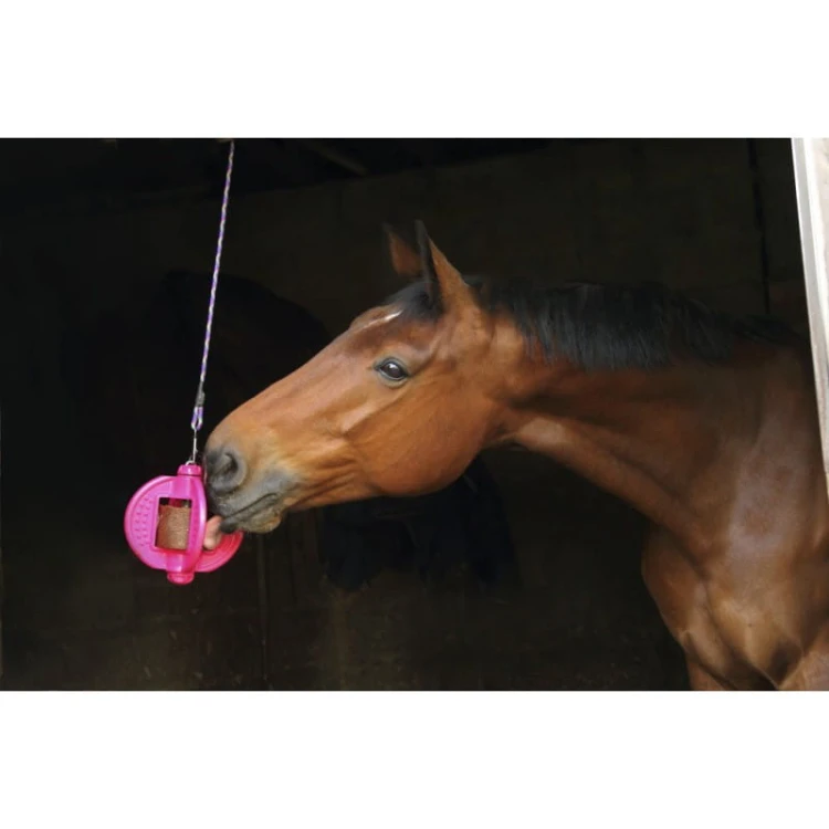 bizzy-horse-bizzy-ball (1).jpg