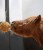 1561503_23_1920x1920.jpg