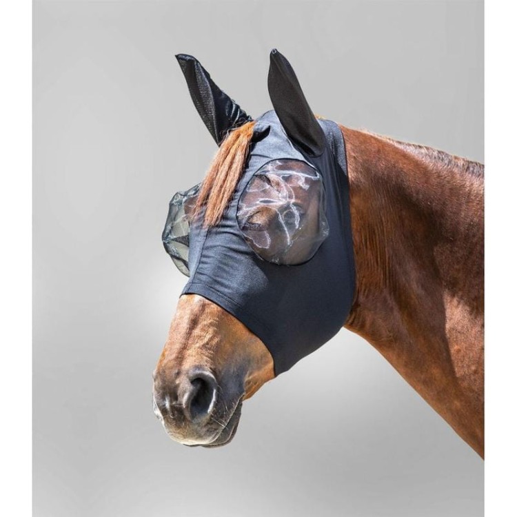 IMG_8133.jpeg