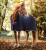 achdkp-b5qw-horseware-embossed-cosy-neck-cooler-horse-blanket-hw-printv2_2_.jpg