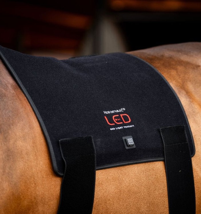 tlhbt1-kk00-horseware-led-red-light-therapy-pad-main_3e2fdftmowapgmrf.jpg