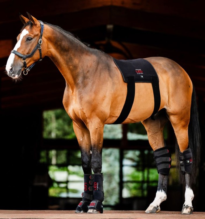 tlhbt1-kk00-horseware-led-red-light-therapy-pad-red-lights-horse_xezbwu1w9ovnnhbq.jpg