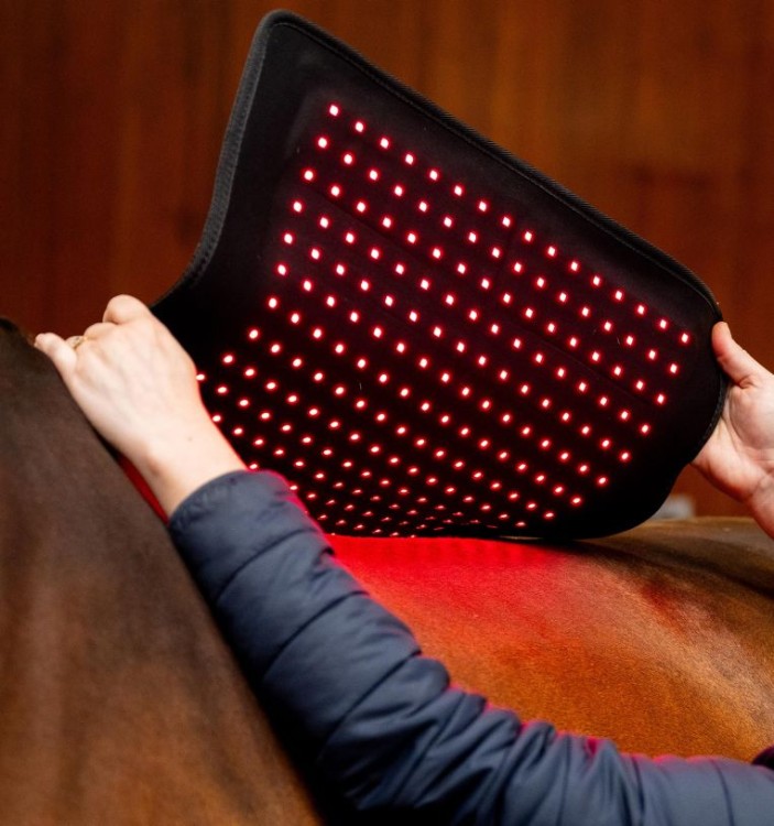 tlhbt1-kk00-horseware-led-red-light-therapy-pad-red-lights-open_lfyzy7yuqpm7y1fx.jpg