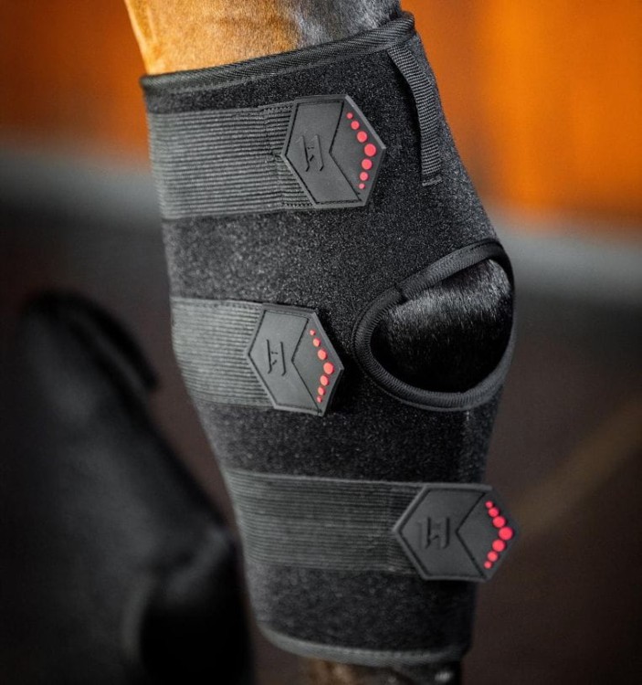 tlhht1-kk00-horseware-led-red-light-therapy-hock-boots-strips-back_fqfv0jdkqnudimf9.jpg