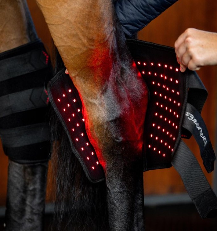 tlhht1-kk00-horseware-led-red-light-therapy-hock-boots-switch-on_1k6jkx8xpf0bmaz7.jpg