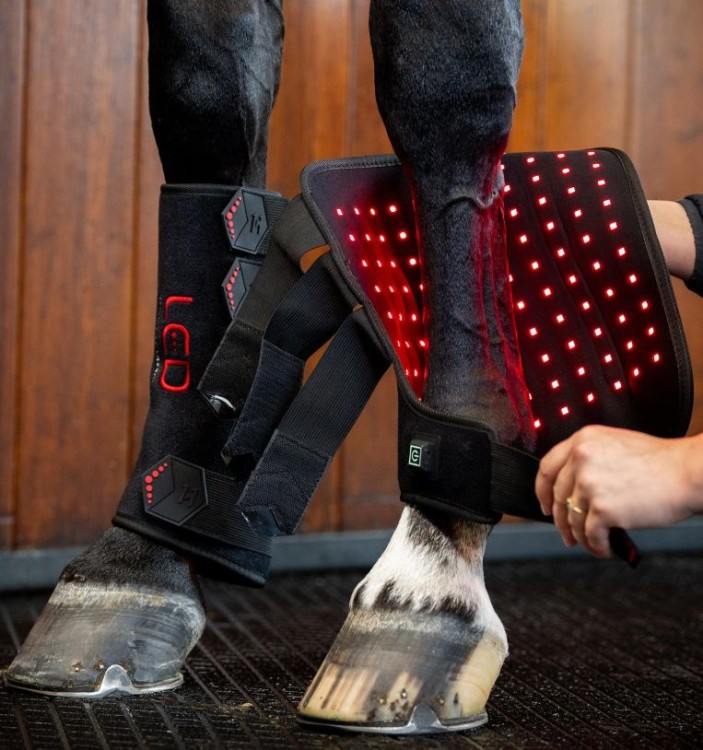 tlhlt1-kk00-horseware-led-red-light-therapy-leg-wrap-wrap-leg-03_v1wwhmi7dmos1j4d.jpg