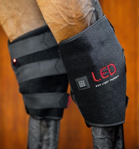 tlhht1-kk00-horseware-led-red-light-therapy-hock-boots-main_fuhyrdqcaoijlqo9.jpg
