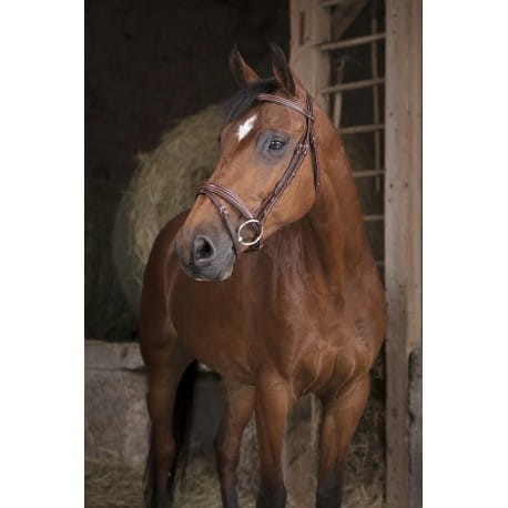bridon-norton-pro-fin.jpg