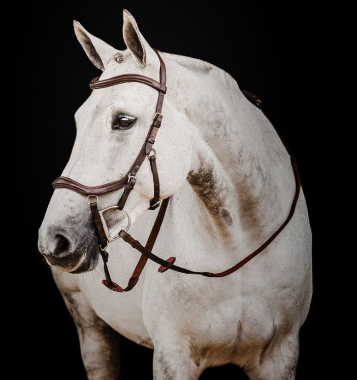 sbmum0-nab0-horseware-micklem-2-deluxe-competition-bridle-brown_muluxnyfkw2oqoct.jpg