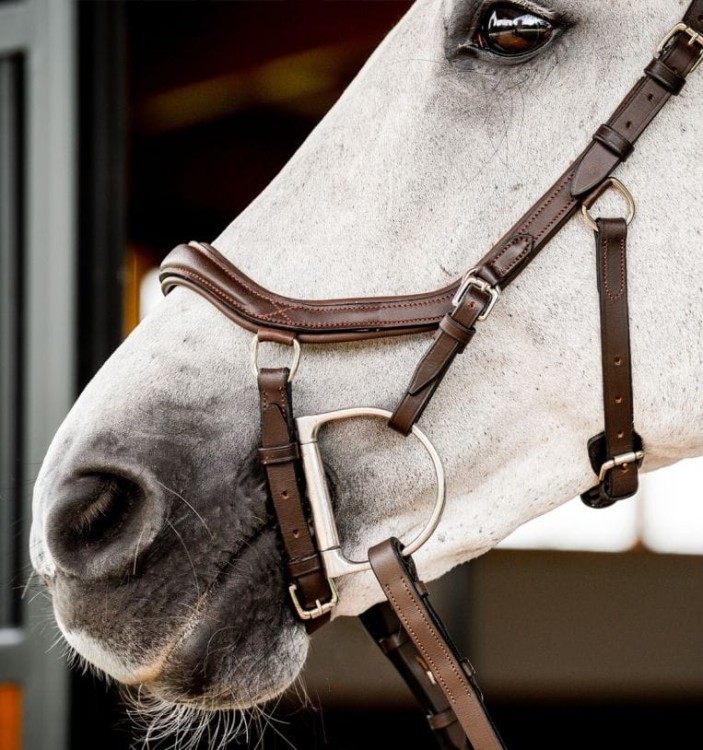 sbmum0-nab0_horseware-micklem-2-deluxe-competition-bridle_2__5.jpg