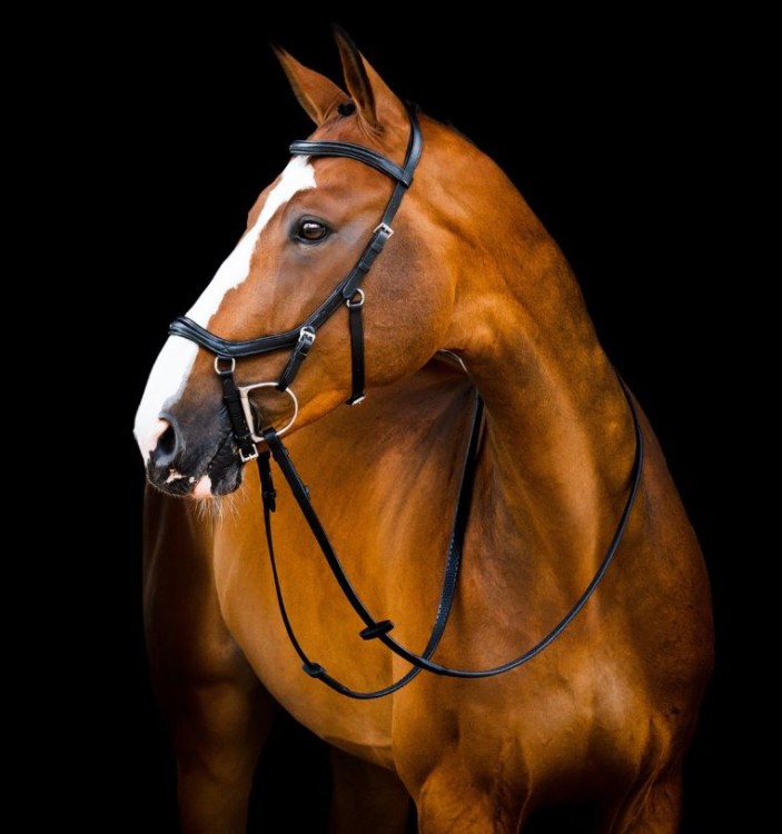 sbmum2-k000-horseware-micklem-2-deluxe-competition-bridle-with-reins-black_1.jpg