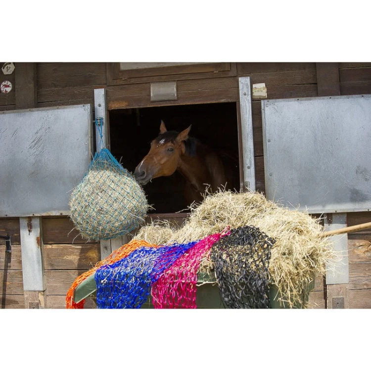 hippotonic-hay-net.jpg