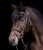 9581930-VB_13_1920x1920.jpg