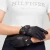 tommy-hilfiger-equestrian_th14uacc832-003_black_3.webp