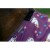 equitheme-rug-licorne-600d (2).jpg
