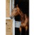 1hippotonic-feeder-with-hooks-and-handle.jpg