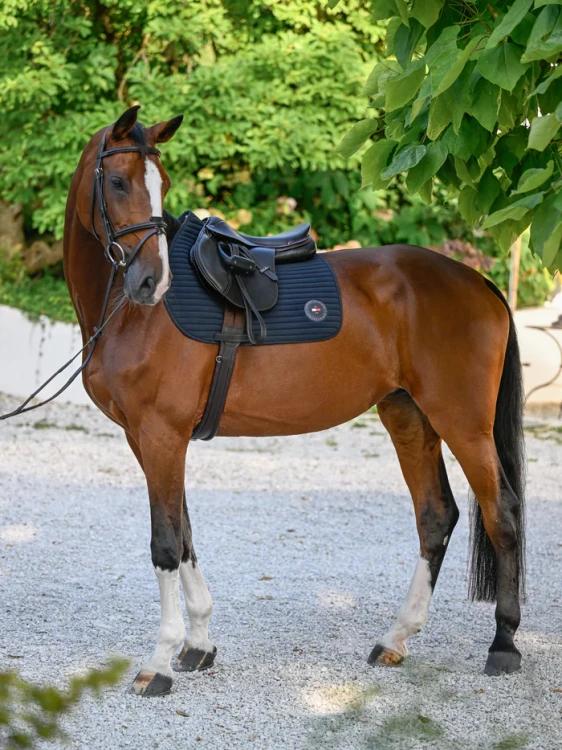 6Tommy-Hilfiger-Upstate-Jumping-Saddle-Pad-Czaprak---Desert-Sky.webp