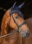 TH15HFLY928-004_01.webp
