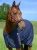 TH15HSET994-004_01.webp